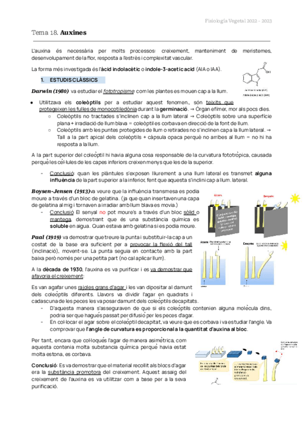 Miniatura del documento TEMAS-18-19-20-FISIO-VEG.pdf