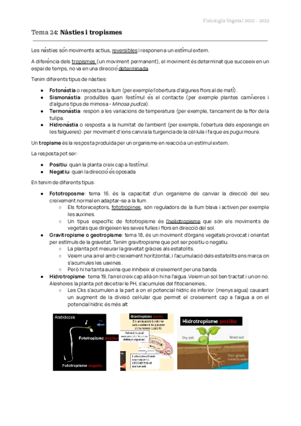 Miniatura del documento TEMAS-24-A-26-FISIO-VEG.pdf