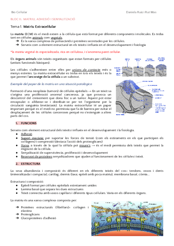 Miniatura del documento BLOC-II-BIOCEL.pdf