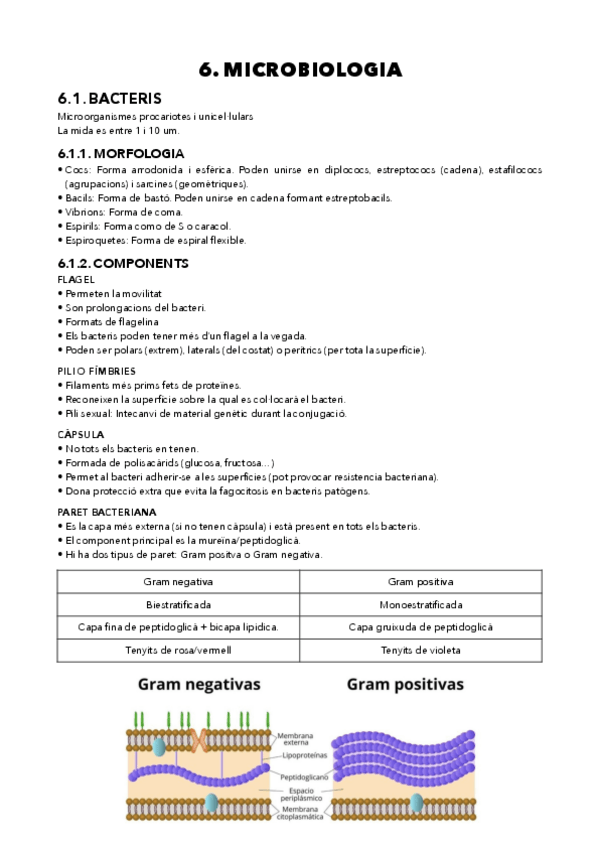 Miniatura del documento MICROBIOLOGIA-sele.pdf