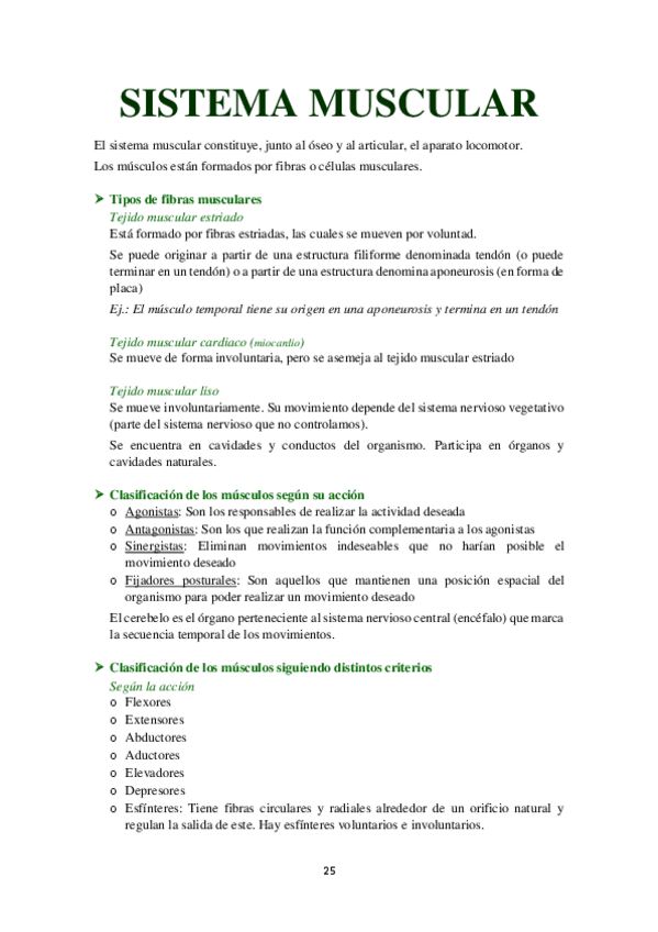 Miniatura del documento Sistema Muscular.pdf
