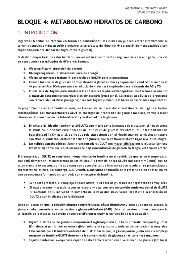 Miniatura del documento Bloque 4 Metabolismo HdC.pdf