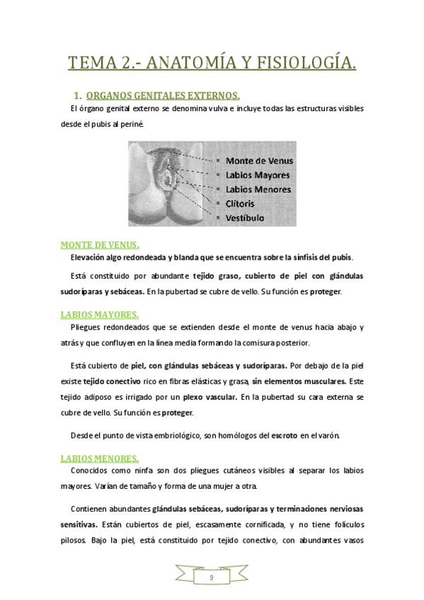 Miniatura del documento TEMA 2 (mio).pdf