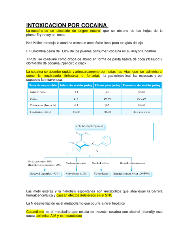 Miniatura del documento INTOXICACION-POR-COCAINA.docx