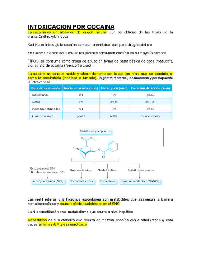 Miniatura del documento INTOXICACION-POR-COCAINA.pdf