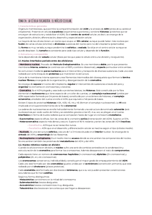 Miniatura del documento Nucleo-celular-c.eucariota.pdf