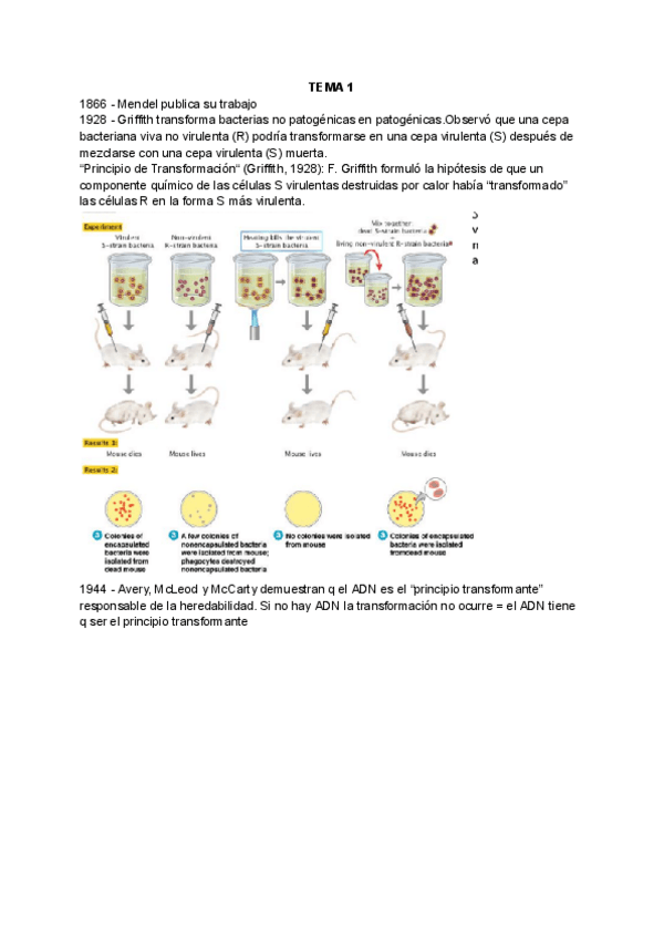 Miniatura del documento Tema-1-Molecular.pdf