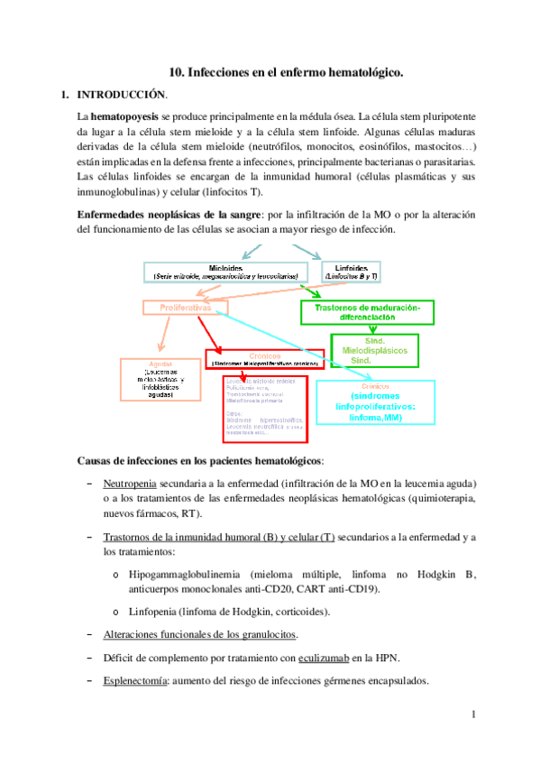 Miniatura del documento 12.-Infecciones-en-el-enfermo-hematologico.pdf