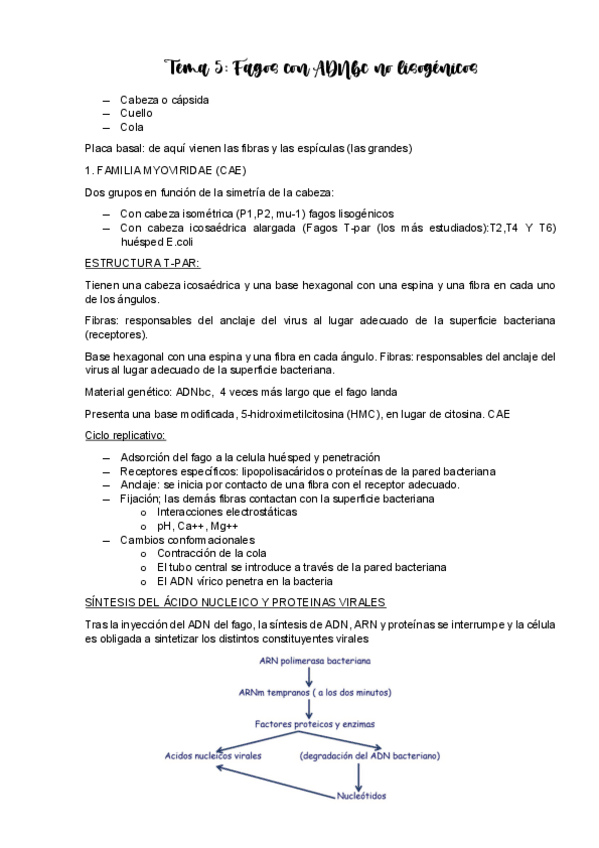 Miniatura del documento TEMA-5-VIROLOGIA.pdf