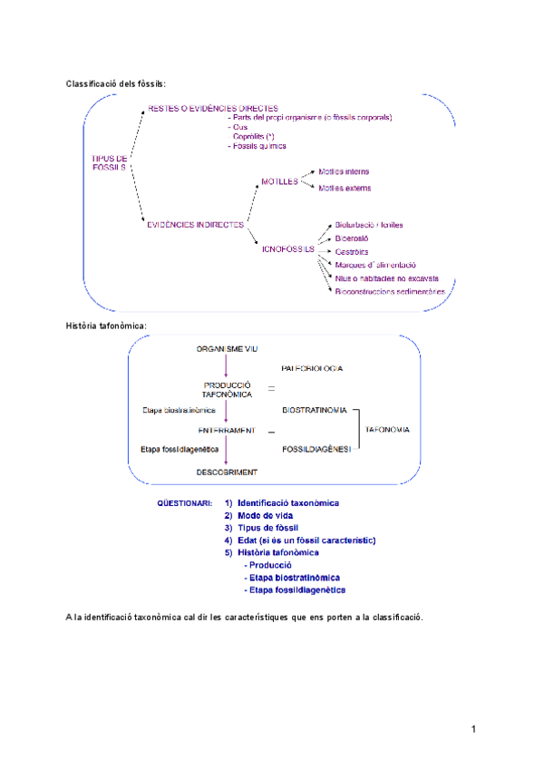 Miniatura del documento Practiques-Paleontologia.pdf