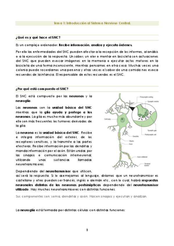 Miniatura del documento Tema-1.-Introduccion-sl-Sistema-Nervioso-Central..pdf