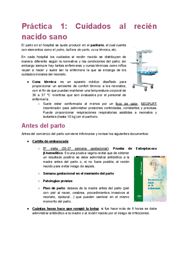 Miniatura del documento Practica-1-de-Infancia-Recien-nacido-sano.pdf