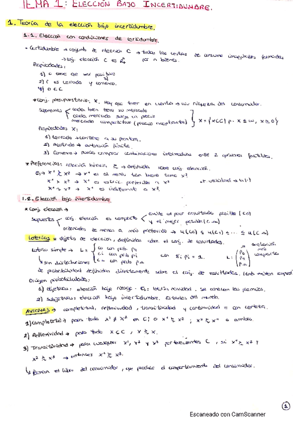 Miniatura del documento Apuntes-micro-temas-1-3.pdf