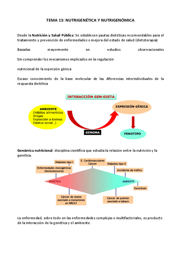 Miniatura del documento Nuevos-Alimentos-Parte-II.-Apuntes-completos.pdf