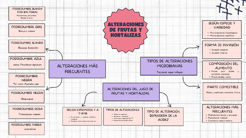 Miniatura del documento Tema-12.pdf