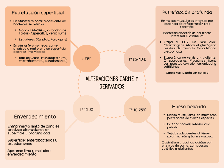 Miniatura del documento Tema-13-Alteraciones-de-carne-y-derivados.pdf