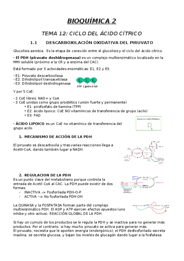 Miniatura del documento BIOQUIMICA-2oPARCIAL-y-FINAL.docx