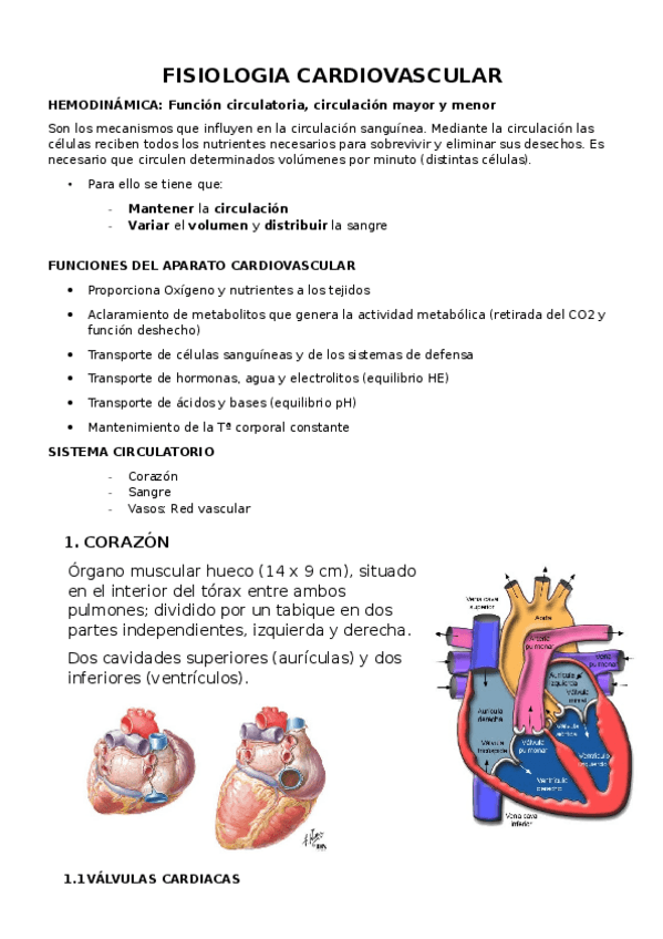 Miniatura del documento FISIOLOGIA-parte-2.docx