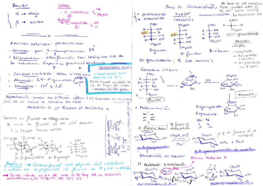 Miniatura del documento t12.pdf