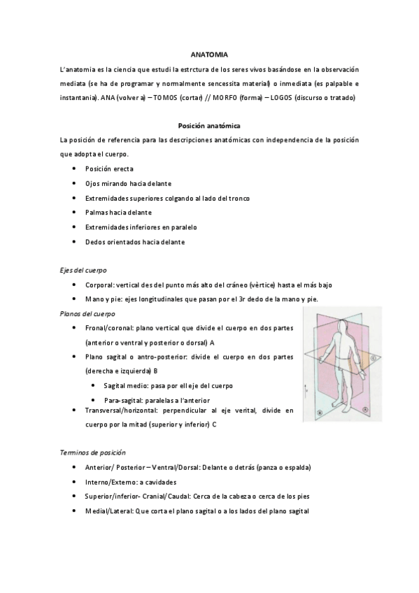 Miniatura del documento ANATOMIA-TOT.pdf