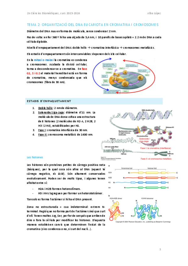 Miniatura del documento Tema-2.-Empaquetament-del-DNA-en-cromatina-i-cromosomes.pdf