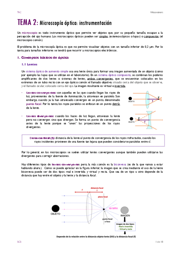 Miniatura del documento TEMA-2.pdf