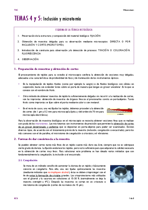Miniatura del documento TEMA-4-Y-5.pdf