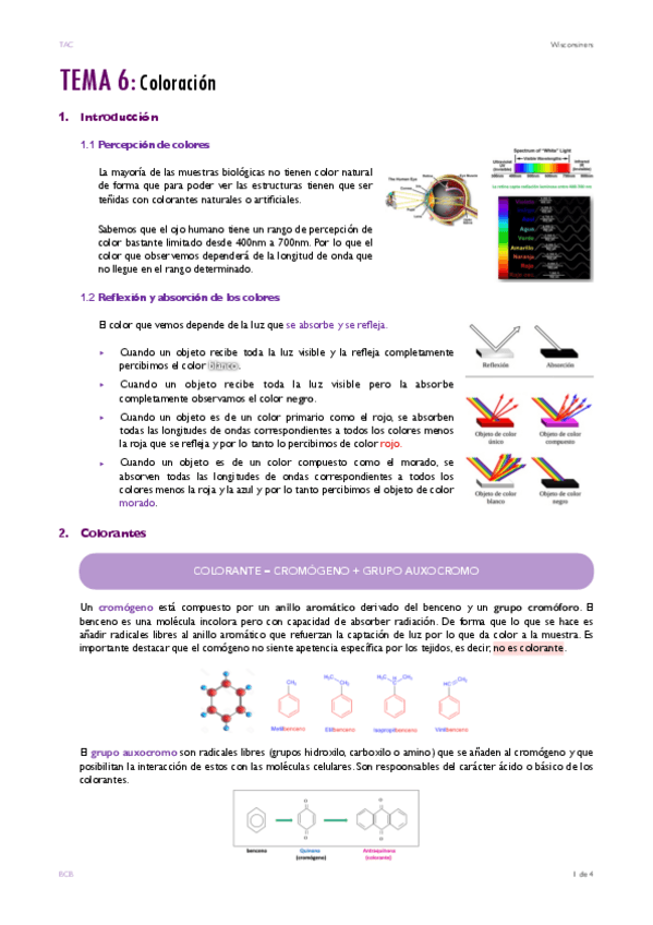 Miniatura del documento TEMA-6.pdf