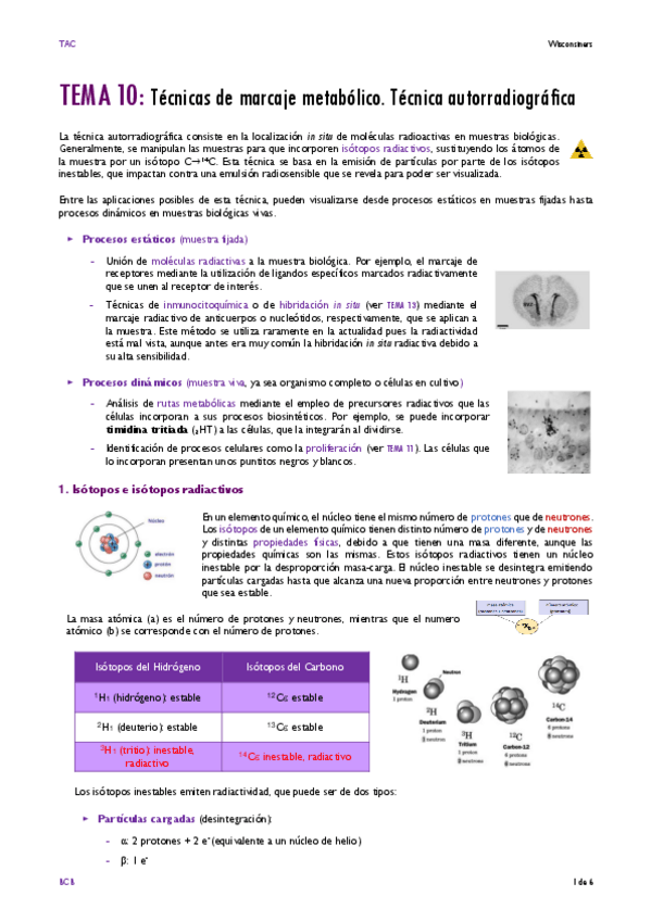 Miniatura del documento TEMA-10.pdf