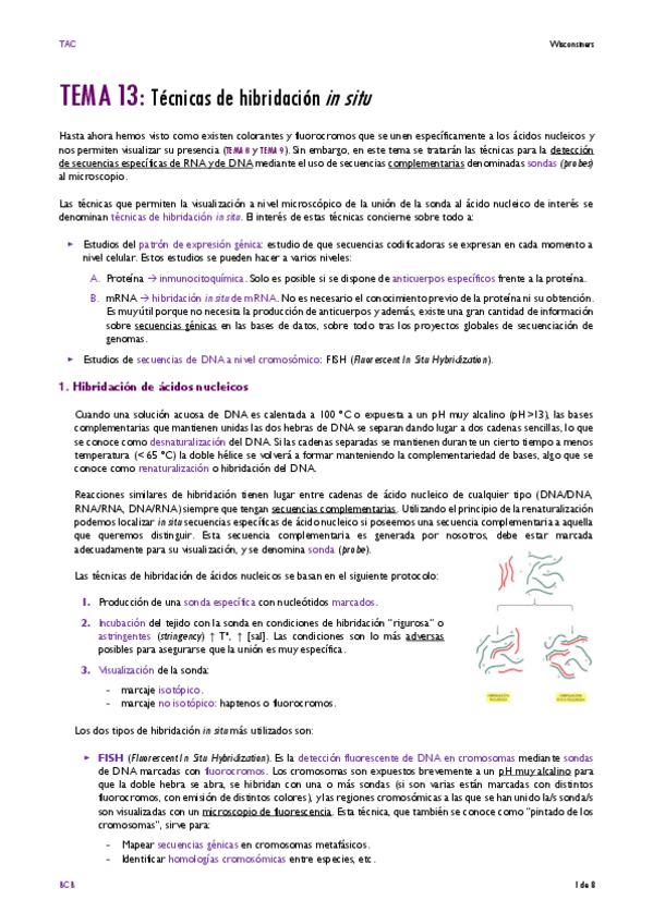 Miniatura del documento TEMA-13.pdf