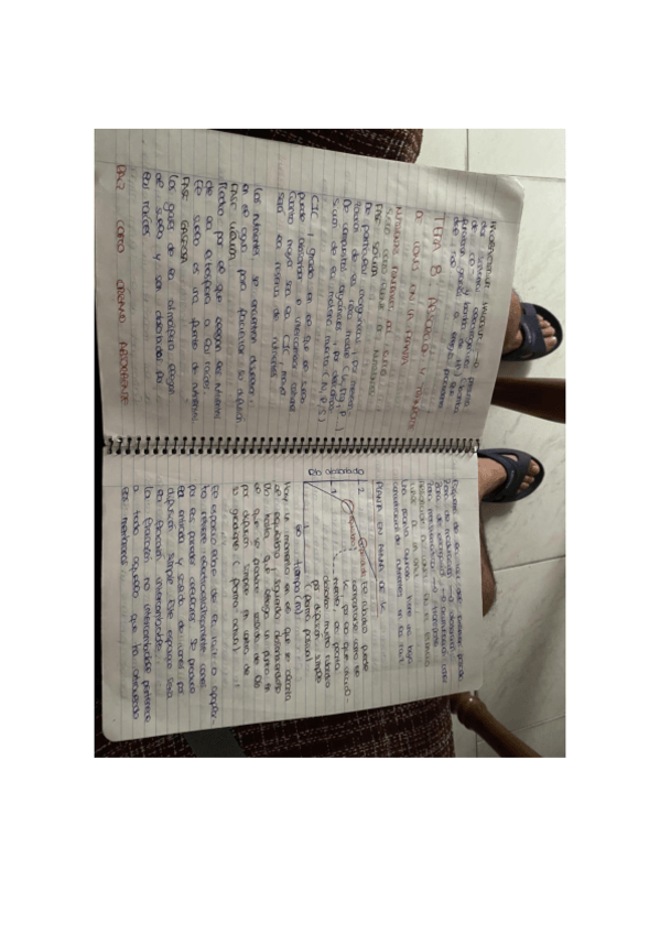 Miniatura del documento TEMA-8.pdf