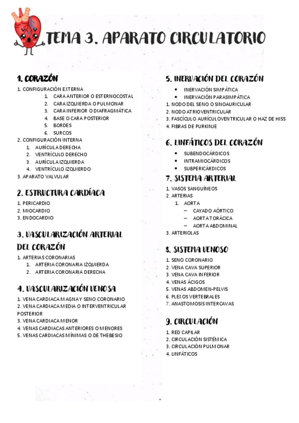 Miniatura del documento TEMA-3-CARDIOCIRCULATORIO.pdf