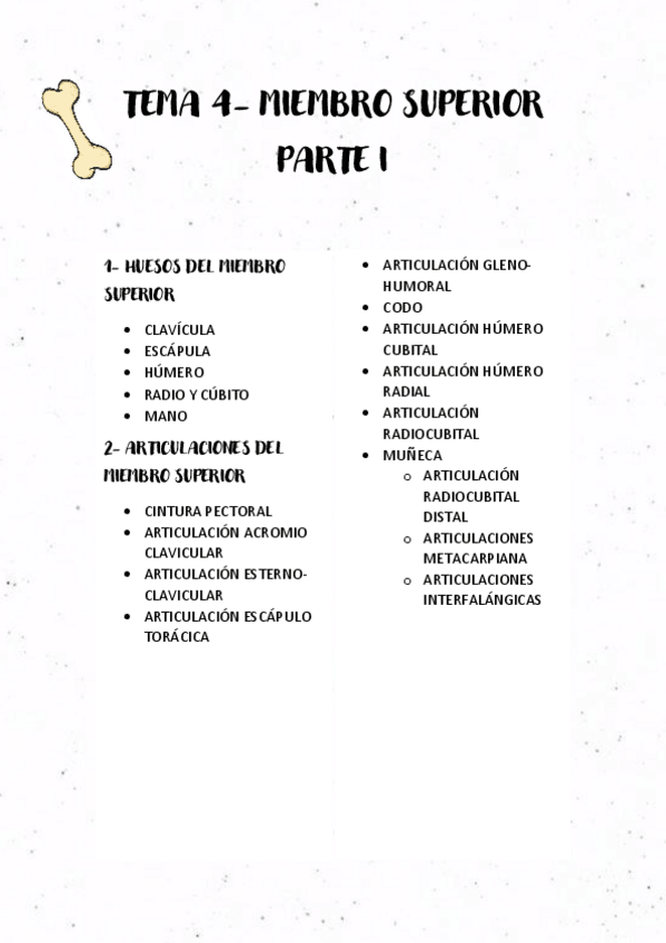 Miniatura del documento TEMA-4-MIEMBRO-SUPERIOR-PARTE-I.pdf