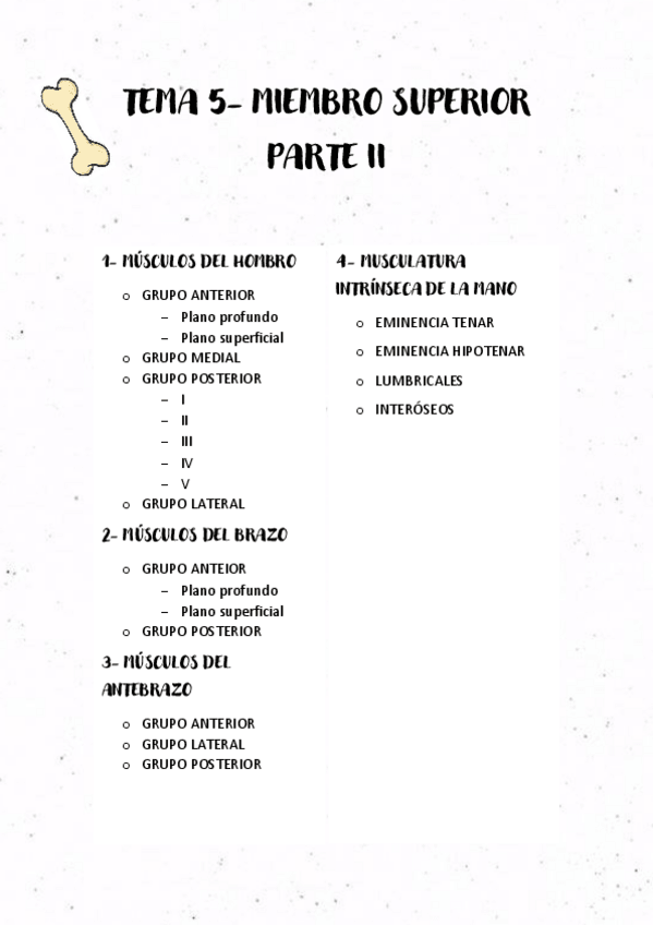 Miniatura del documento TEMA-5-MIEMBRO-SUPERIOR-PARTE-II.pdf