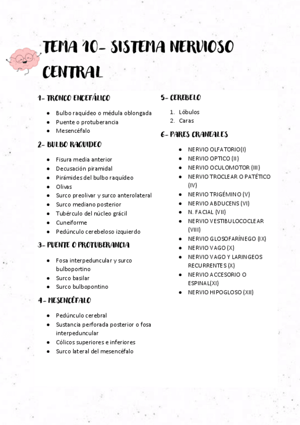 Miniatura del documento TEMA-10-SISTEMA-NERVIOSO-CENTRAL.pdf