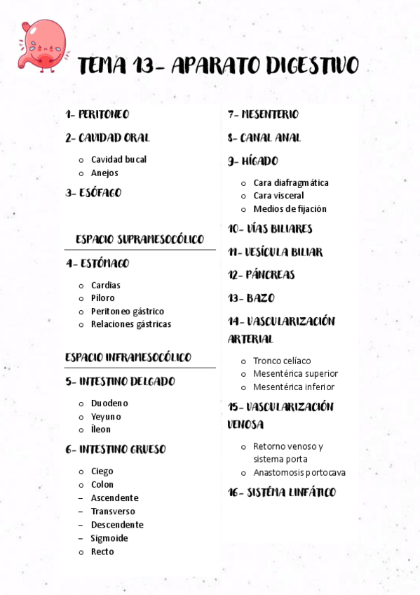 Miniatura del documento TEMA-13-APARATO-DIGESTIVO.pdf