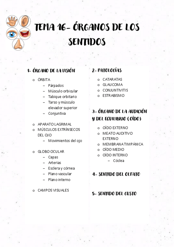 Miniatura del documento TEMA-16-ORGANOS-DE-LOS-SENTIDOS.pdf
