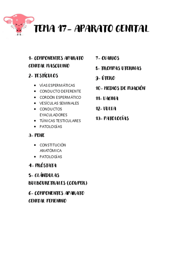 Miniatura del documento TEMA-17-APARATO-GENITAL.pdf