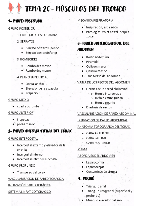 Miniatura del documento TEMA-22-MUSCULOS.pdf