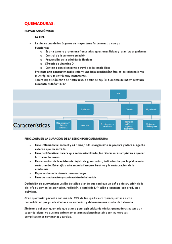 Miniatura del documento QUEMADURAS.pdf