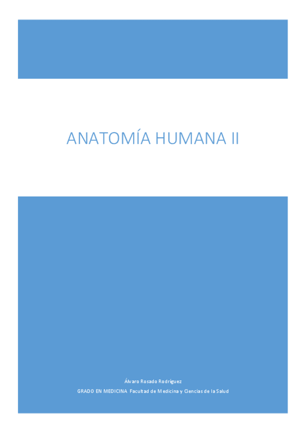 Miniatura del documento ANATOMIA-HUMANA-II.pdf