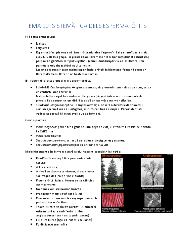 Miniatura del documento TEMA 10 botanica.pdf