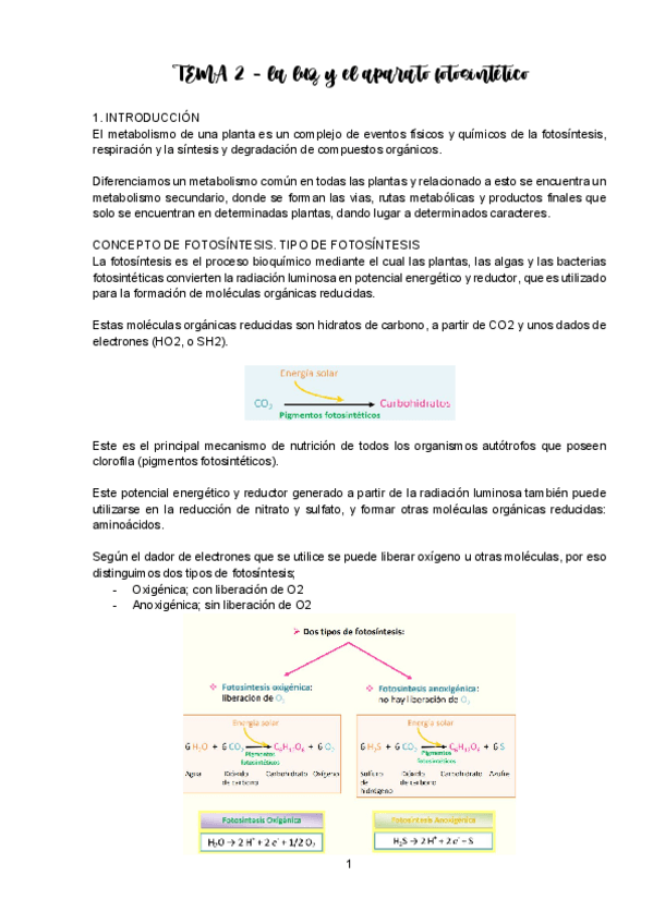 Miniatura del documento TEMA-2-FV-I-ACTUALIZADO-23-24.pdf