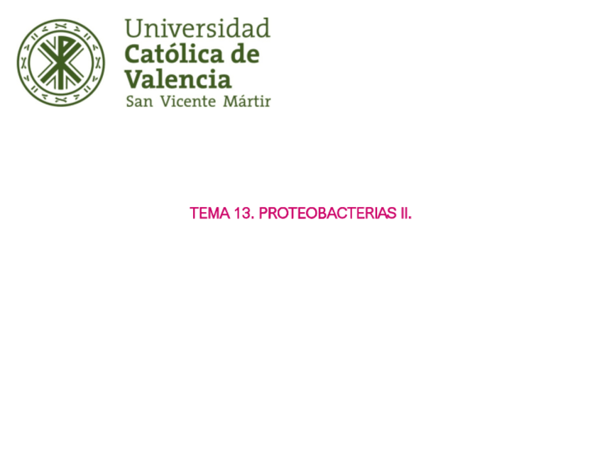 Miniatura del documento TEMA-13.pdf