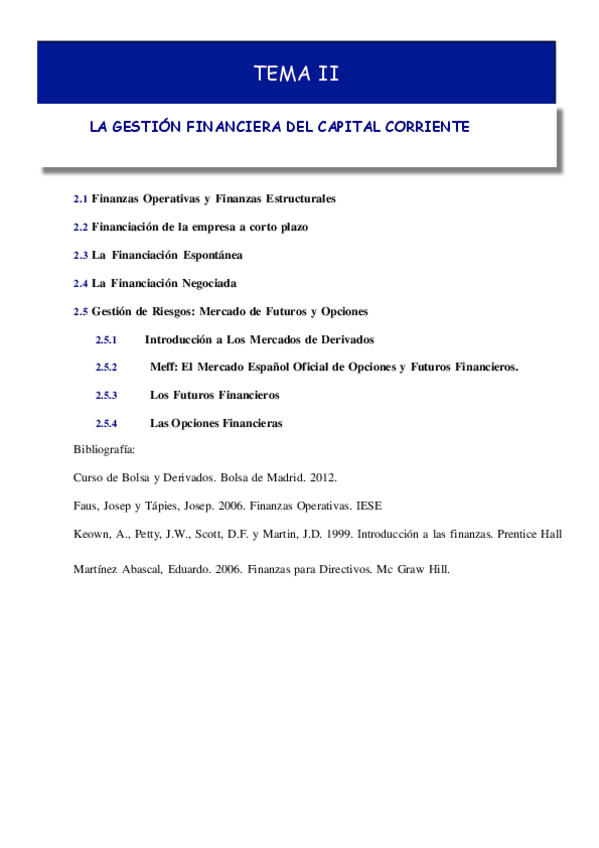 Miniatura del documento Tema-2-Gestion-del-capital-corriente.pdf