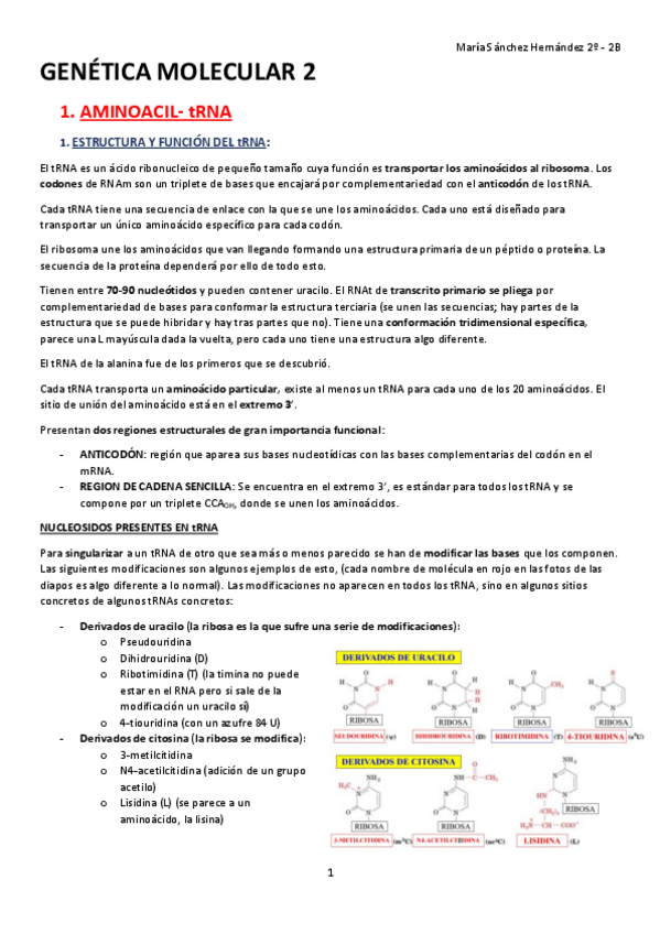 Miniatura del documento GENÉTICA MOLECULAR-2º EXAMEN.pdf