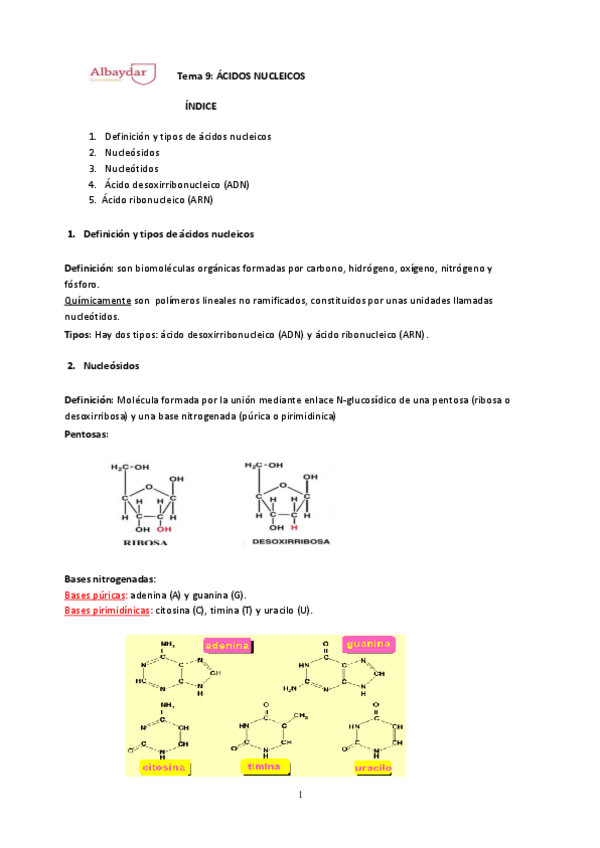 Miniatura del documento Tema-9-acd.nucleicos.pdf