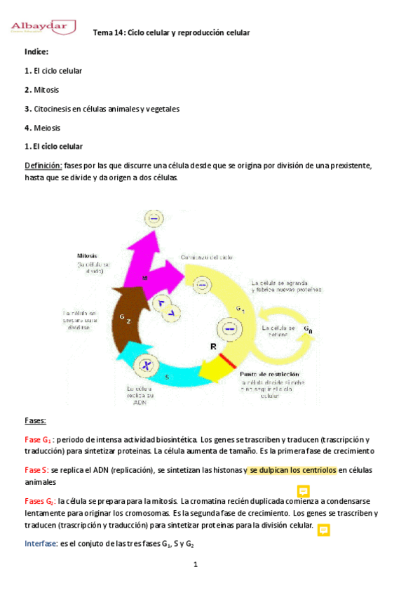 Miniatura del documento tema-14-Ciclo-Celular-y-Reproduccion-celular.pdf