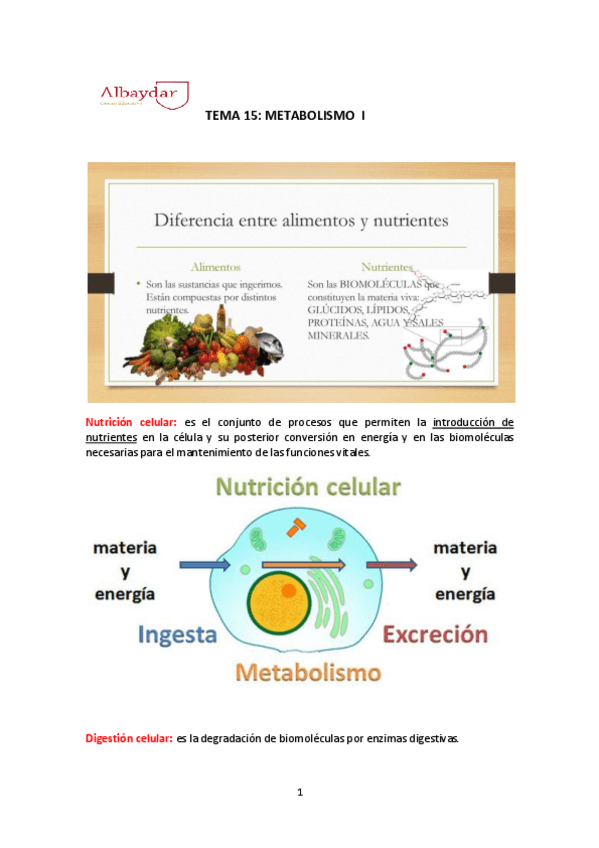 Miniatura del documento TEMA-15-METABOLISMO.pdf