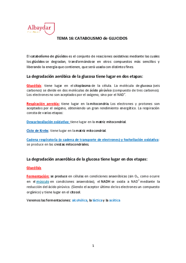 Miniatura del documento TEMA-16-CATABOLISMO-GLUCIDOS.pdf